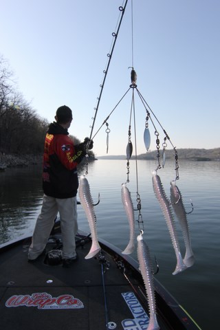  Fishing Soft Plastics and Alabama Rigs