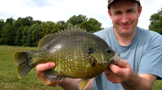 Panfish - Perch, Crappie, Bluegill, Rigs, Bait & Tricks Page - In