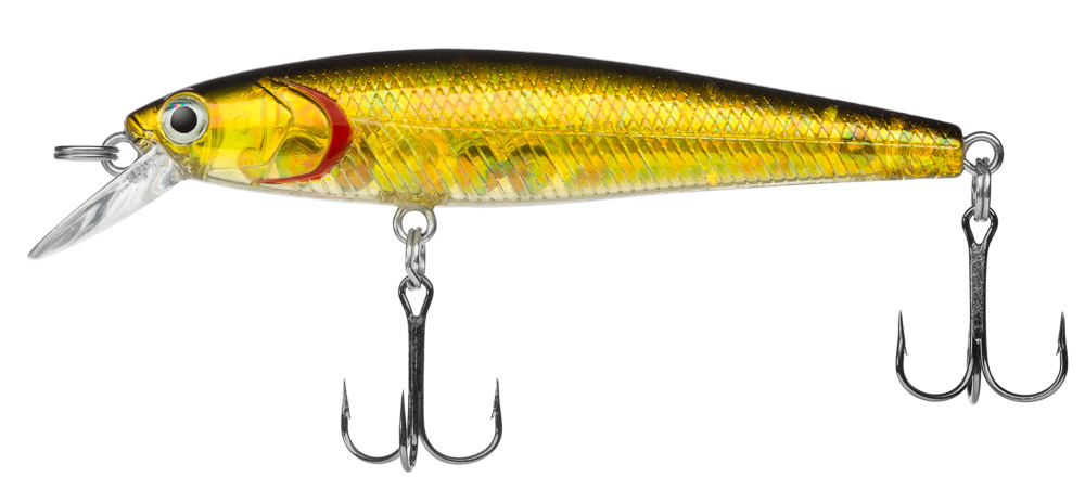  Introduction to Dynamic Lures